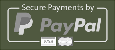 payment.paypal