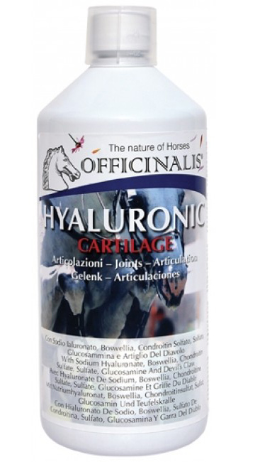 Hyaluronic Cartilage, 1 Liter