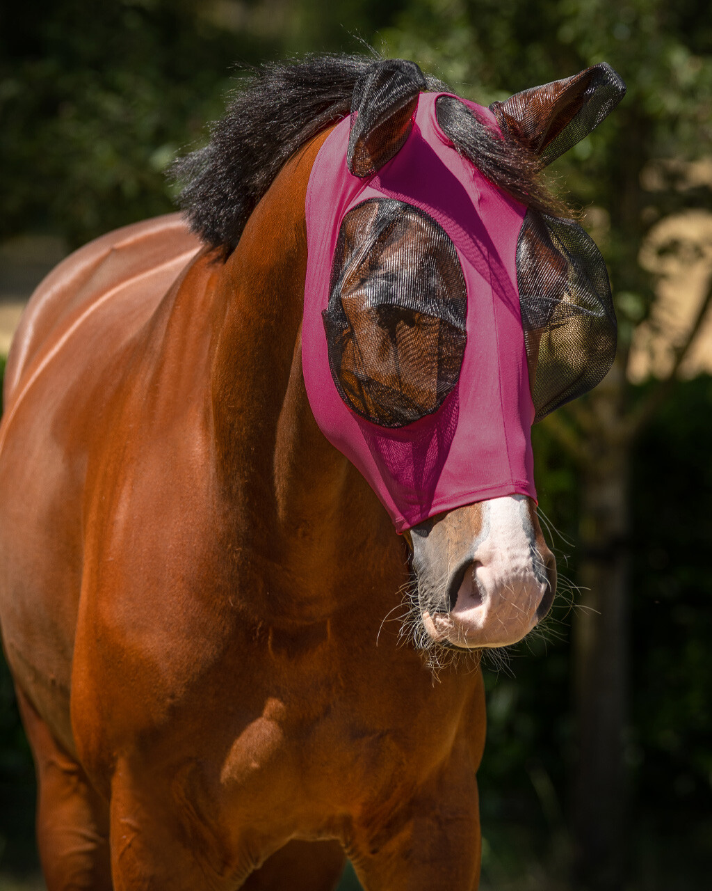 Fly mask Super Bug, with ear flap and pelmet, navy