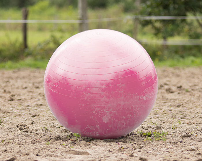 Pferde Spielball, pink