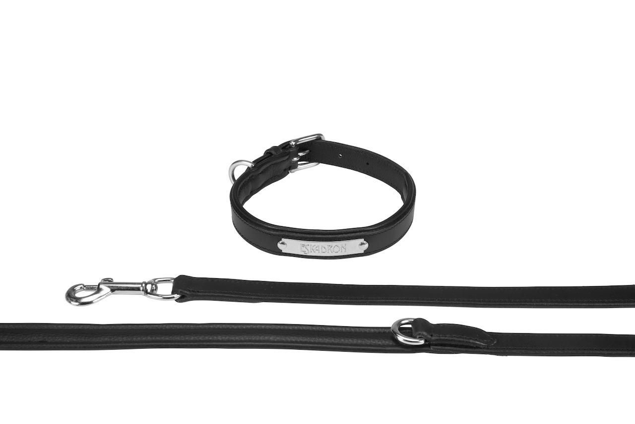 Hundeset Leine + Halsband LEATHER, schwarz
