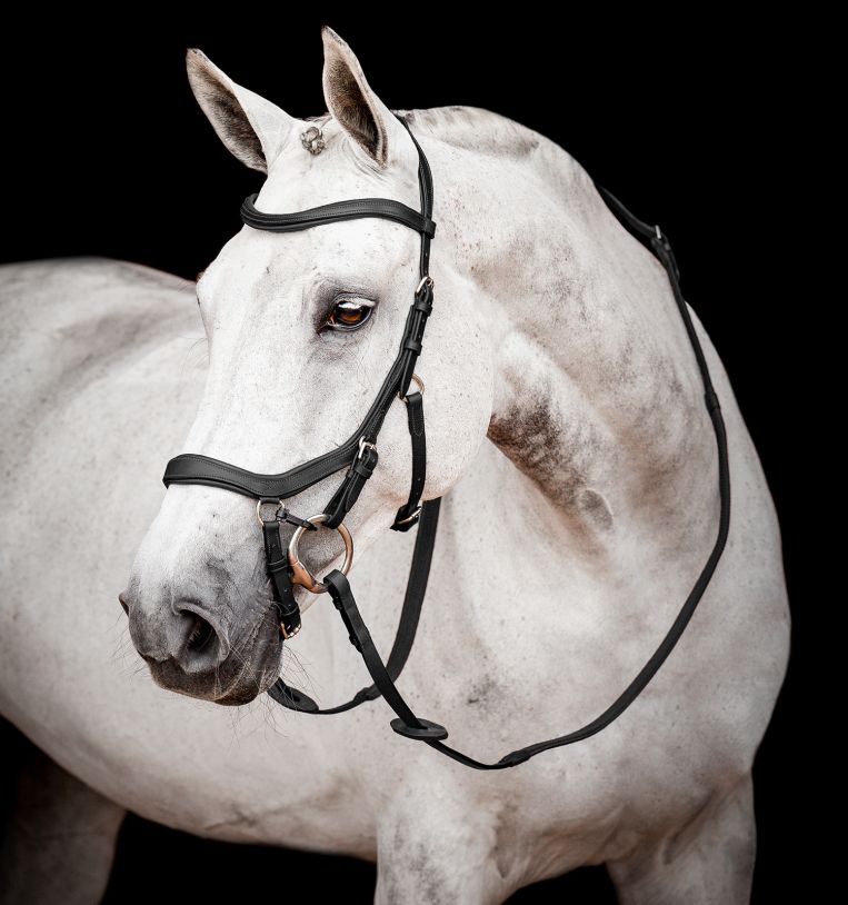 Rambo Micklem Competition Bridle, noir
