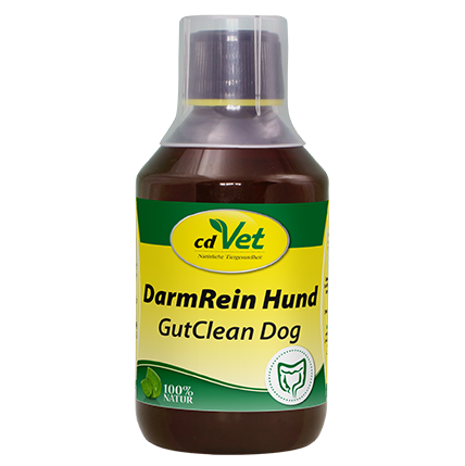 DarmRein flüssig für Hunde, 250 ml