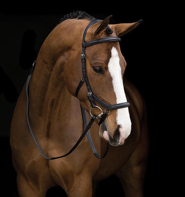 Rambo Micklem Deluxe Competition Bridle, braun
