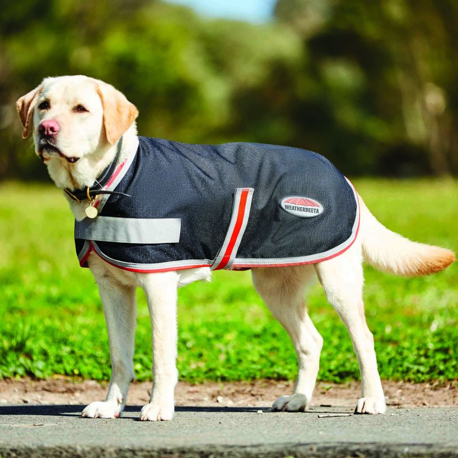 Therapy-Tec dog coat, schwarz/silber/rot
