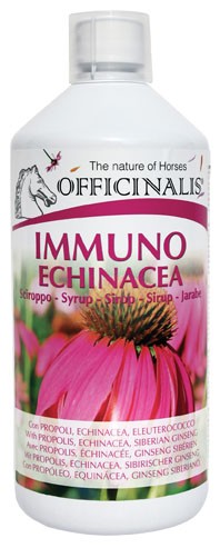 Immuno Echinacea, 700 ml