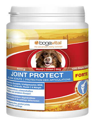 bogavital Joint Protect Forte Hund 500 g 