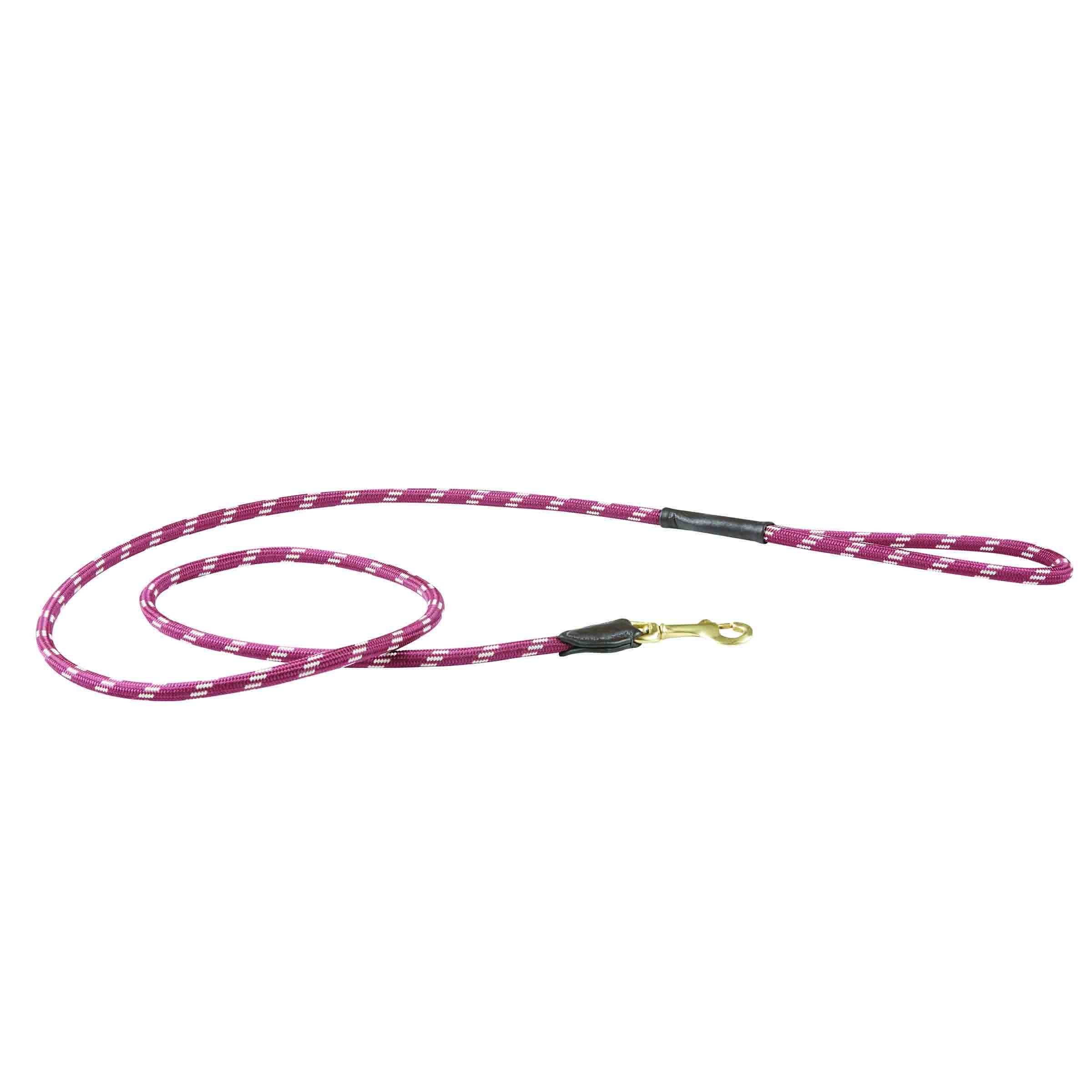 Hundeleine Rope-Leder, diverse Farben