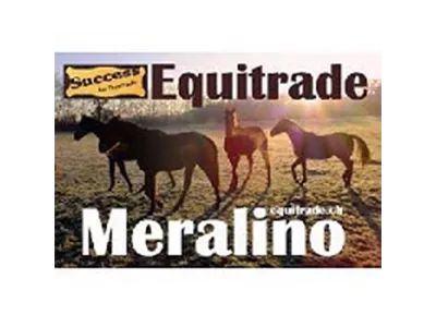 Meralino-Equitrade/CH