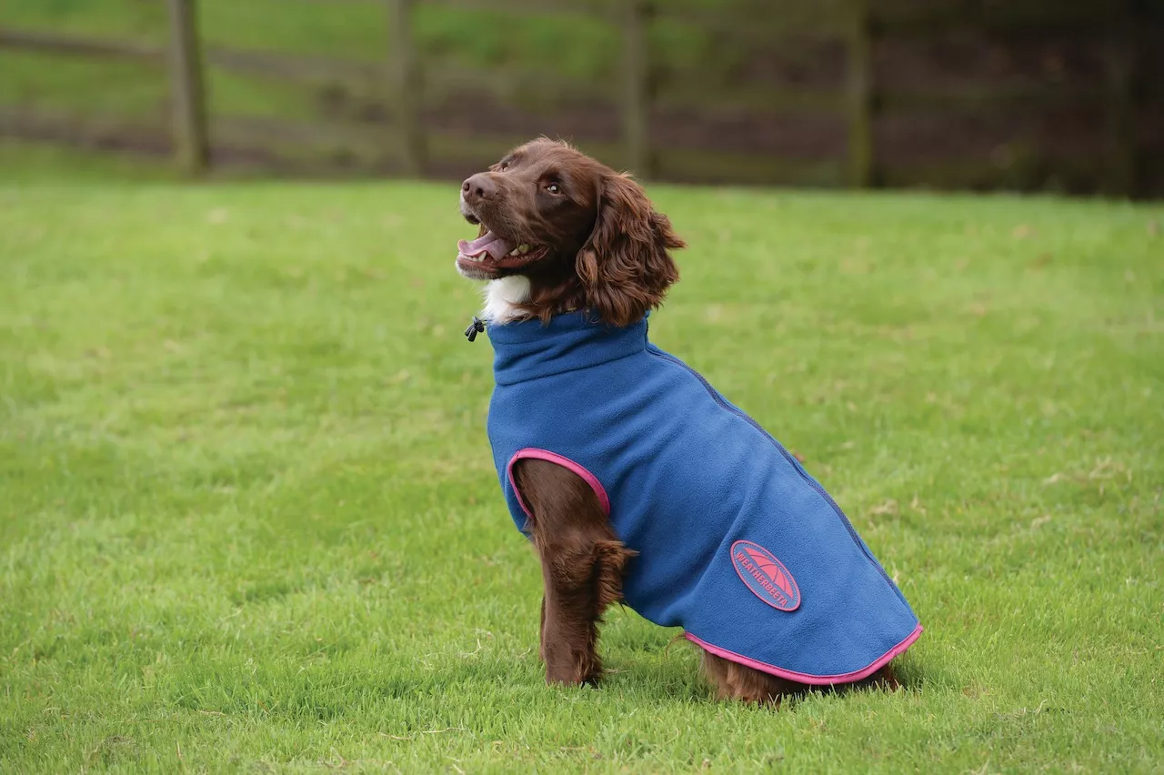 Comfitec fleece zip dog coat, blue/pink