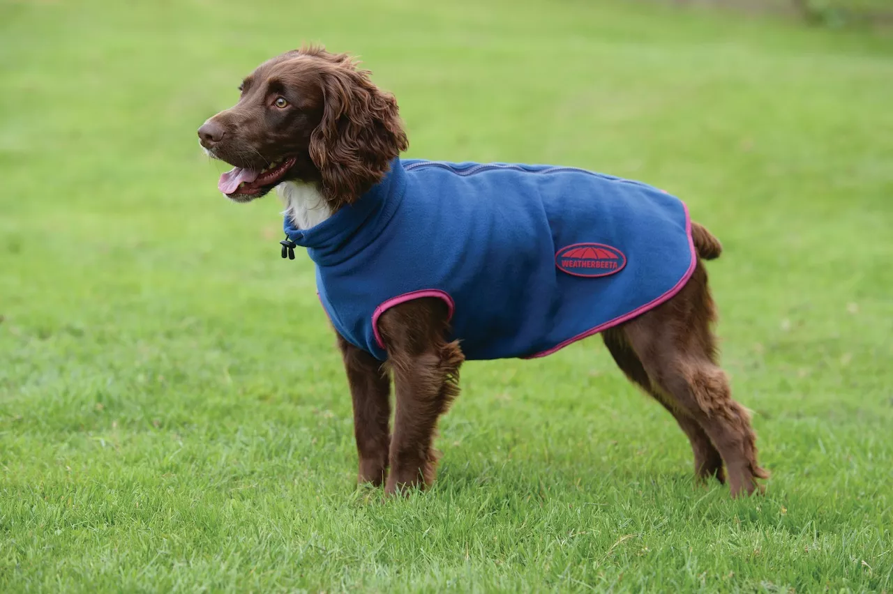 Comfitec fleece zip dog coat, blue/pink