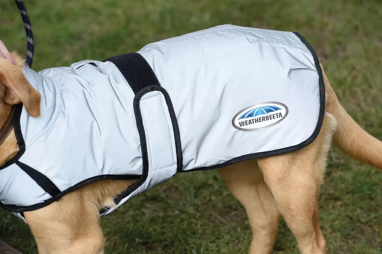 Abrigo reflectante para perros Comfitec, 220 g