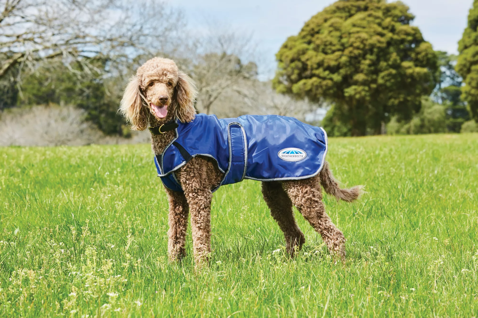Comfitec windbreaker free deluxe dog coat, blue/grey/white