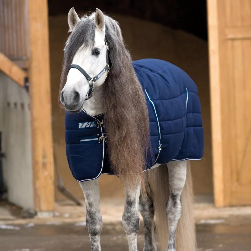 RAMBO STABLE RUG, black with grey, 200g 